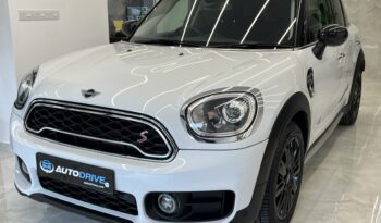 
									MINI COUNTRYMAN 2019 full								