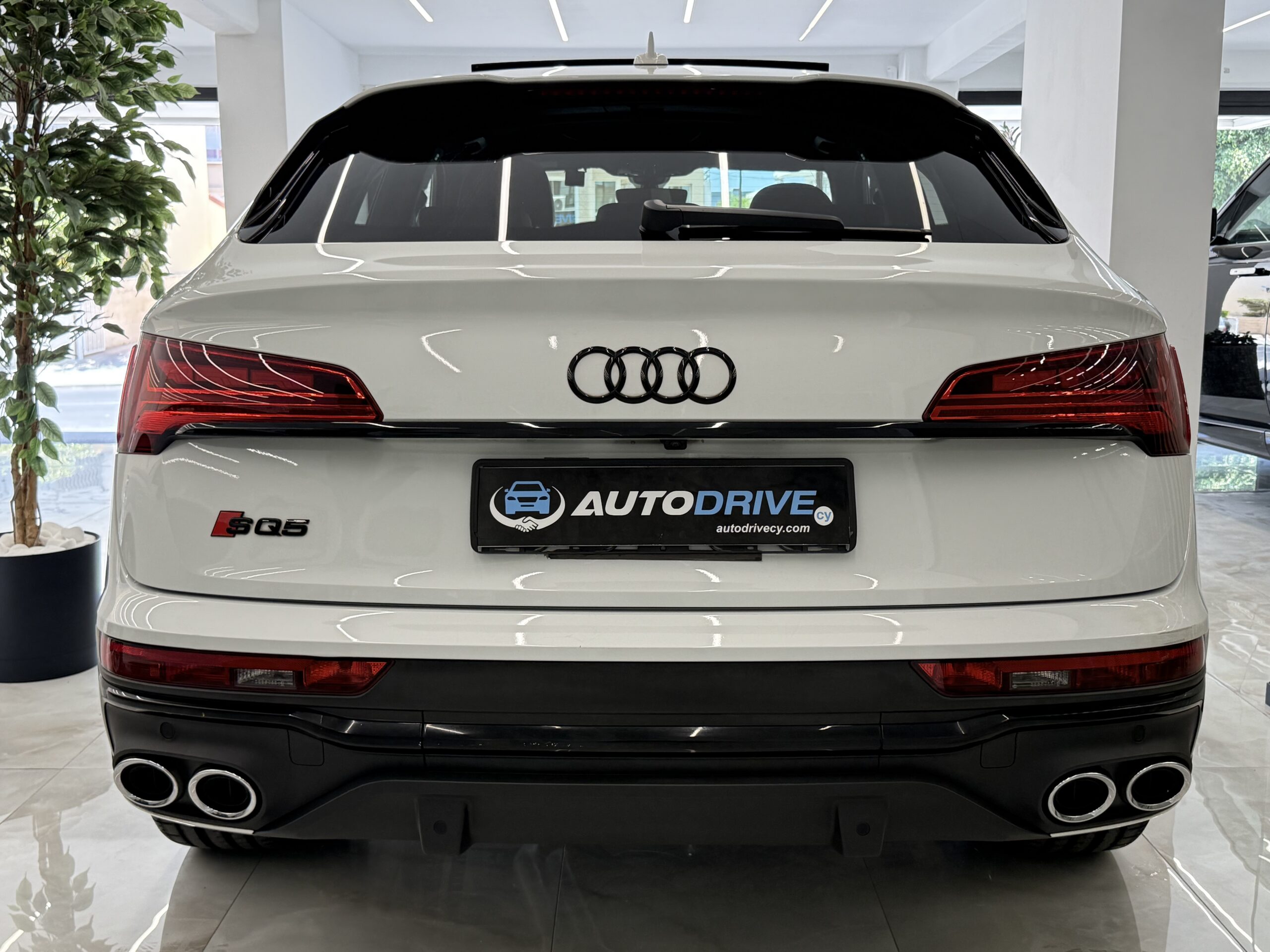 AUDI SQ5 photo 6