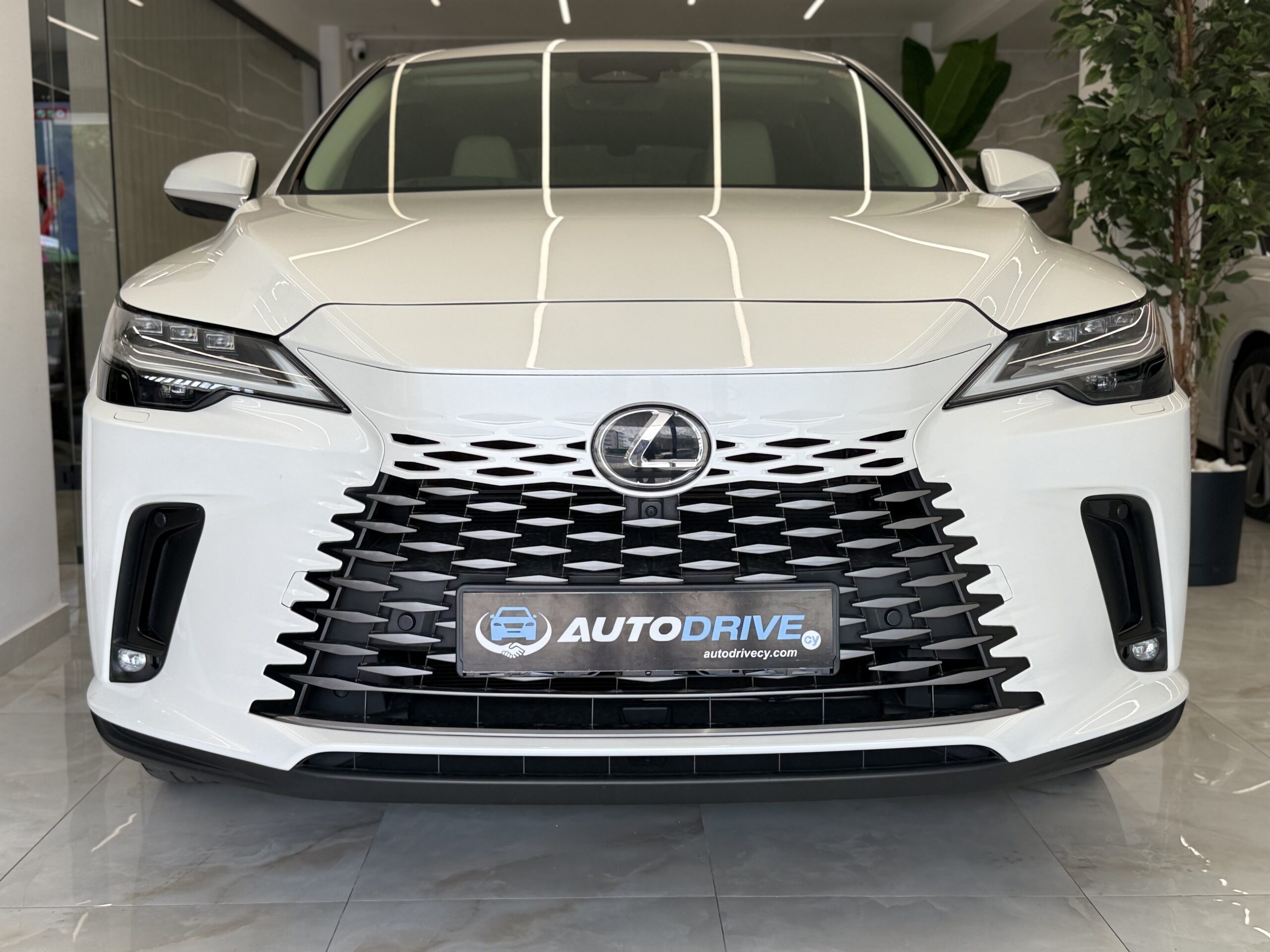 LEXUS RX350H L photo 3